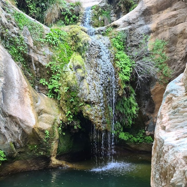 Ain Al-Jamal